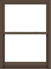 WDMA 44x60 (43.5 x 59.5 inch)  Aluminum Single Hung Double Hung Window without Grids-4