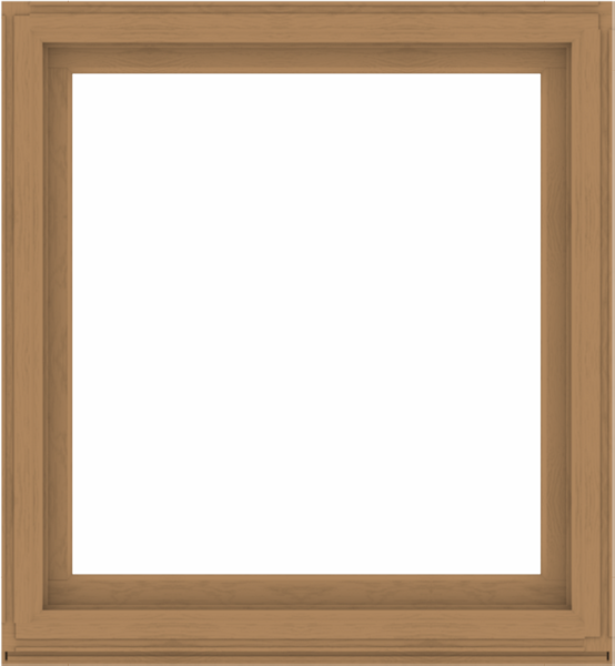 WDMA 48x52 (47.5 x 51.5 inch) Composite Wood Aluminum-Clad Picture Window without Grids-1