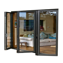China Suppliers French Double Glass Two Fold Bifold Door on China WDMA
