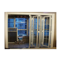 China Top Brand Aluminum Alloy patio folding storm glass door on China WDMA