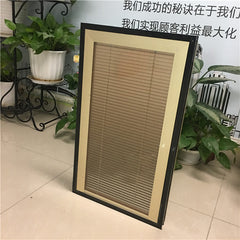 Guangdong easy install built-in louver windows between insulating glass blinds inside glass on China WDMA