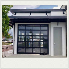 China WDMA Black Anodized Aluminum Frame Tempered Frosted Plexiglass/Glass Garage Door