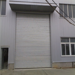 China WDMA Best quality cheap price automatic garage doors