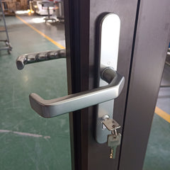 Roomeye aluminum french door on China WDMA