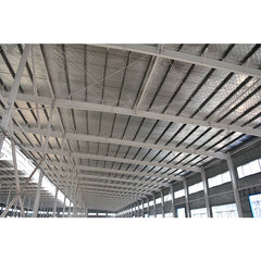senegal low cost prefabricated light weight steel structure construction factory workshop warehouse for sale on China WDMA