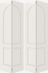 WDMA 20x80 Door (1ft8in by 6ft8in) Interior Barn Smooth 2040 MDF 2 Panel Round Panel Double Door 2